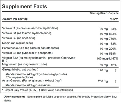 ANDREW LESSMAN Ginkgo 120 Plus Ginseng 200mg - 60 Capsules - Standardized Extract Blend to Support Brain, Memory and Cognitive Function. Adaptogen, Combats Stress and Fatigue. No Additives