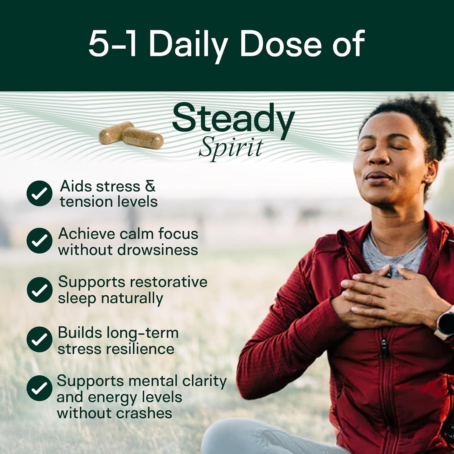 Adapt Naturals Steady Spirit Stress, Moddy & Resilience Support Supplement | Clinically Studied Saffron, Ashwagandha, L-Theanine, Lemon Balm & Holy Basil - Adaptogen Blend for Calm Focus - 30 Day Supply