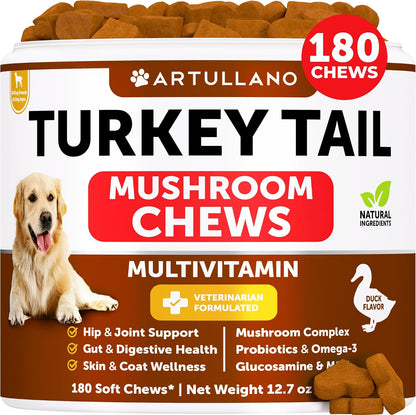 Turkey Tail for Dogs, Mushroom Supplement for Canine - 180 Soft Chews - All Dog Breeds and Ages - Multivitamins