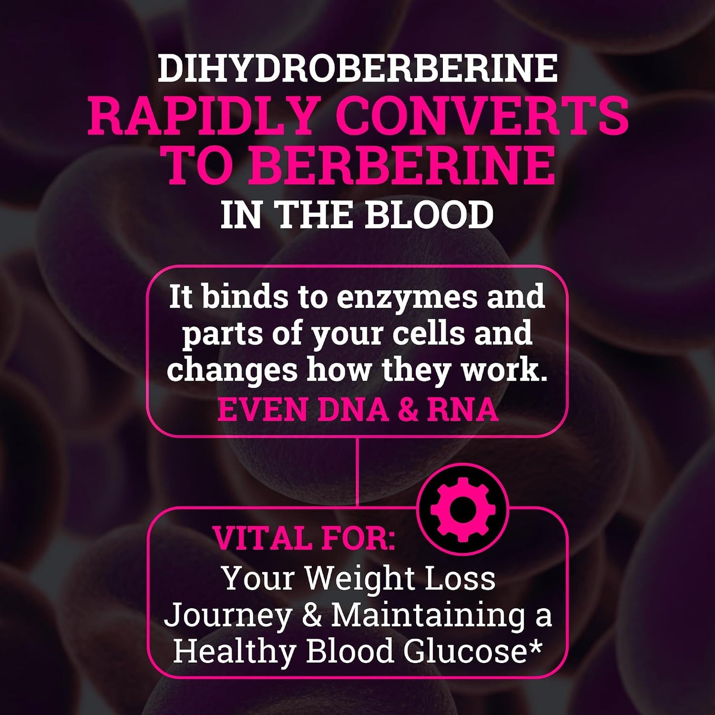 Black Forest 5X Berberine a Dihydroberberine Supplement (Super Berberine Now 5X More Effective Than Regular Berberine HCL) Best Dihydroberberine with Ceylon Cinnamon - Similar to Berberine Phytosome