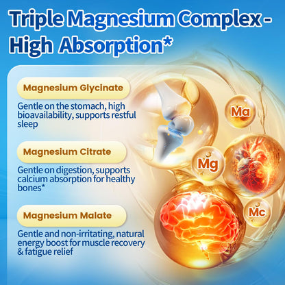 Triple Magnesium Complex for Women and Men, Magnesium Glycinate 400mg, Malate, Citrate, High Absorption Chelated Magnesium Supplement Support Sleep, Muscle, Non-GMO, Gluten Free - 240 Capsules
