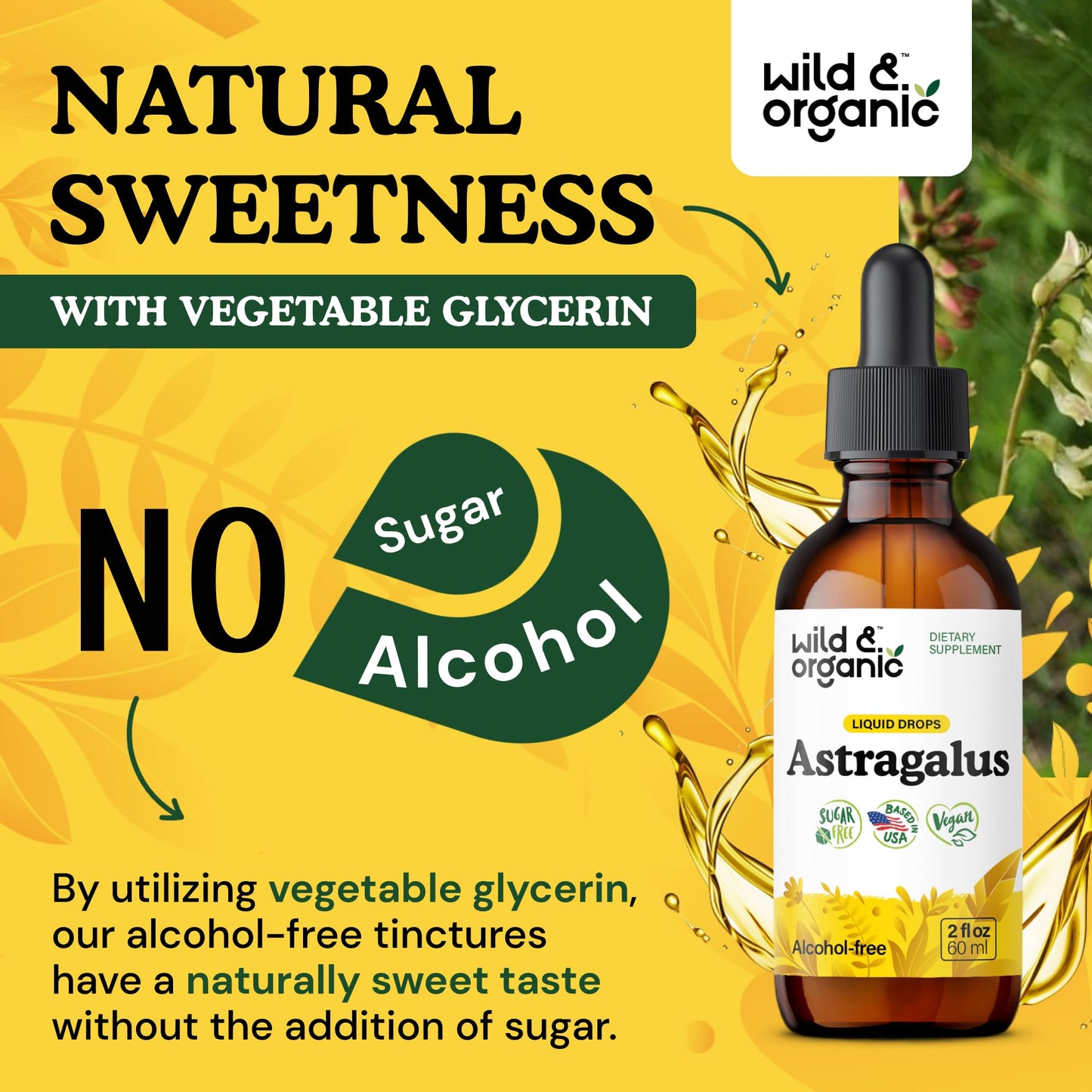 Wild & Organic Astragalus Root Extract Drops - Immune Support - Liquid Astragalus Supplement - Add to Tea & Mix with Powder - Membranaceus Herb - Vegan, Sugar & Alcohol-Free Tincture - 4 fl oz