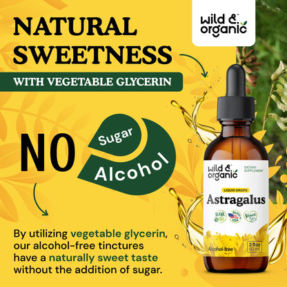 Wild & Organic Astragalus Root Extract Drops - Immune Support - Liquid Astragalus Supplement - Add to Tea & Mix with Powder - Membranaceus Herb - Vegan, Sugar & Alcohol-Free Tincture - 4 fl oz