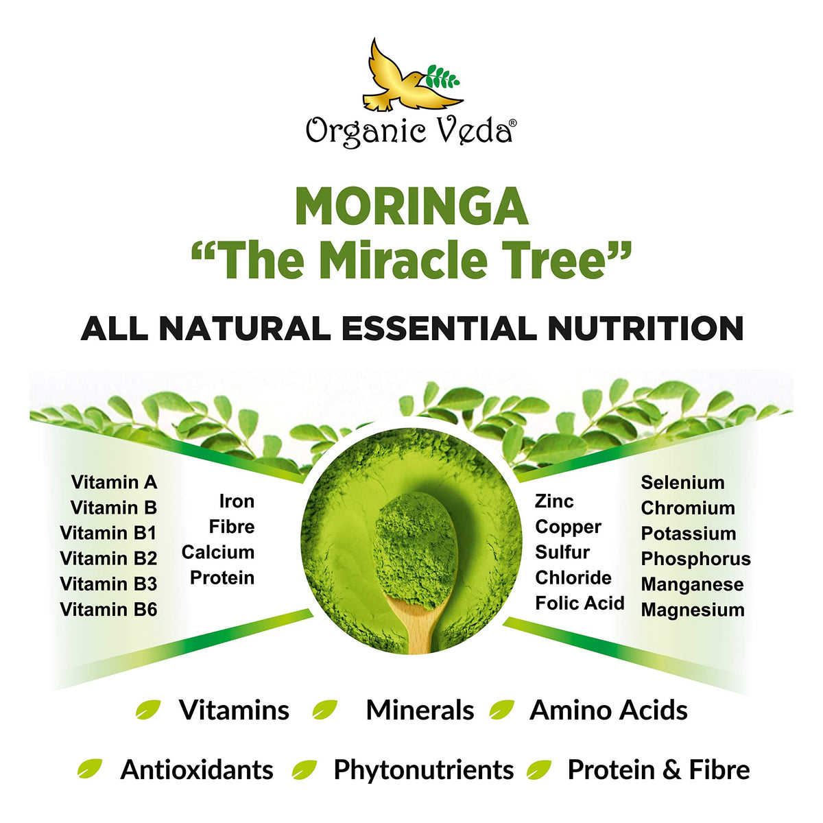 Organic Veda Moringa Leaf Capsules 1500mg, 300 Count - Pure Raw Moringa Oleifera