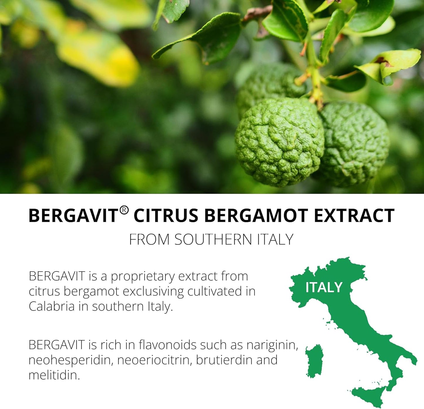 UpNourish BERGAVIT Citrus Bergamot Cholesterol Supplement - Italian Citrus Bergamot Extract 550mg for Women and Men 90 Vegan Capsules