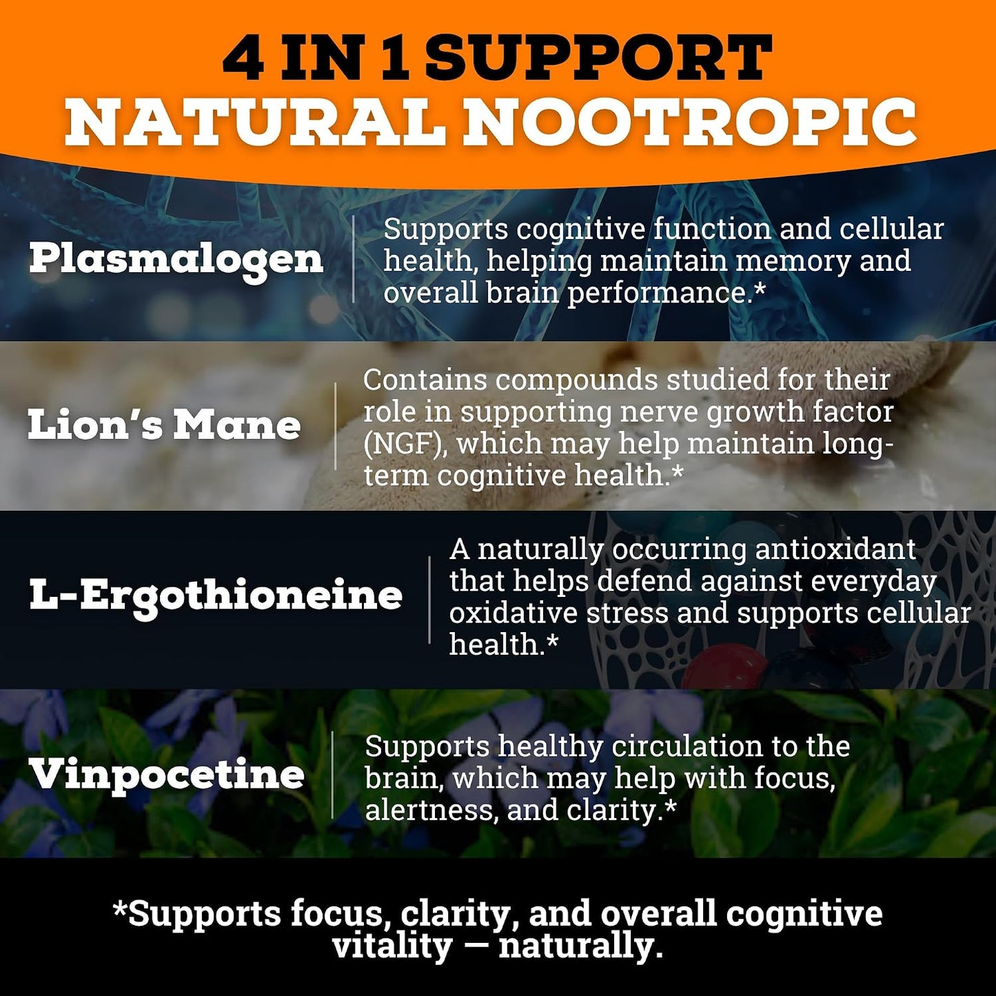 Brain Complex Addifocus™ Brain Supplements For Memory and Focus (Plasmalogen, Lions Mane, Vinpocetine 10mg & Ergothioneine) Memory Supplement for Brain, Brain Defender Supplement, Brain Health