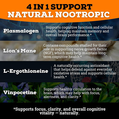 Brain Complex Addifocus™ Brain Supplements For Memory and Focus (Plasmalogen, Lions Mane, Vinpocetine 10mg & Ergothioneine) Memory Supplement for Brain, Brain Defender Supplement, Brain Health