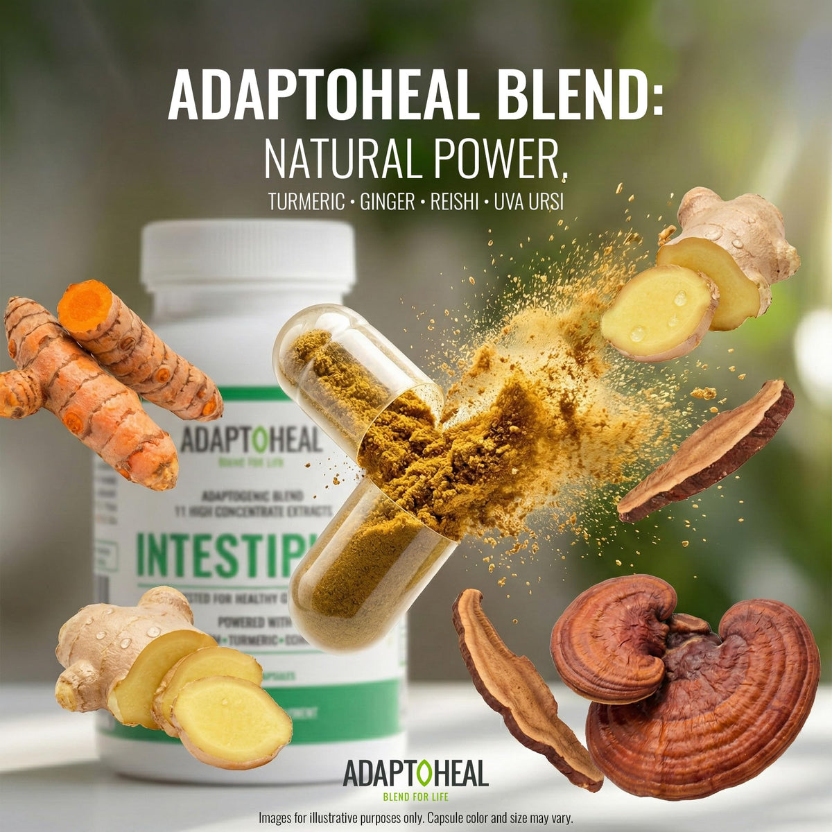 ADAPTOHEAL Intestiplus Adaptogen Gut Support Turmeric (180 Caps)
