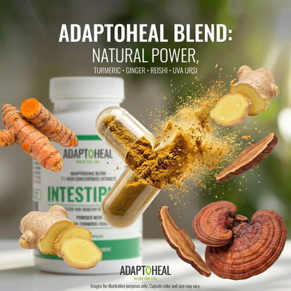 ADAPTOHEAL Intestiplus Adaptogen Gut Support Turmeric (180 Caps)
