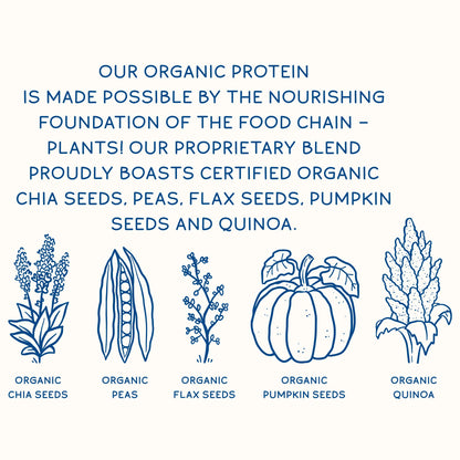 KOS Plant Based Protein Powder, Blueberry Muffin - Organic Pea Protein Superfood