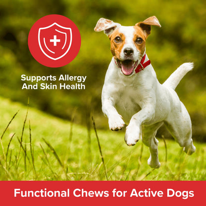 PLATO Pet Treats Air-Dried Wellness Chews for Dogs – Functional Dog Chews – Supports Skin Health & Allergy Relief – Salmon Oil, Colostrum & Quercetin Recipe 8oz