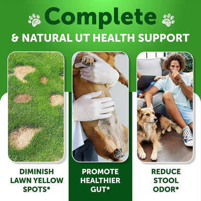 No Poo Chews for Dogs - Coprophagia Stool Eating Deterrent - Stop Eating Poop Treats with Probiotics, Digestive Enzymes, Pumpkin - Prevent Dog, Puppy from Eating Poop - Gut Health Support Supplement
