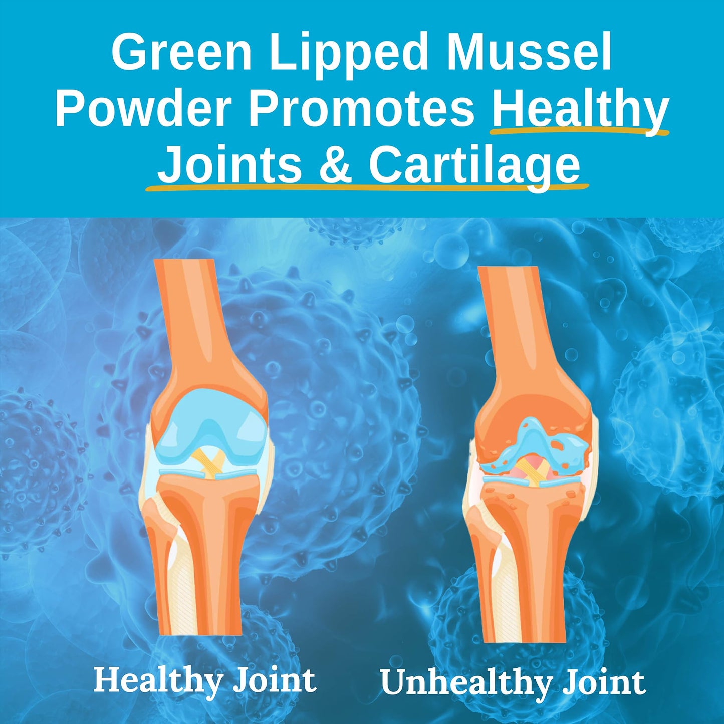 Xtend-Life | Green Lipped Mussel Powder | Extra Strength New Zealand Green Lipped Mussel 2400mg per Serving | for Joint Health & Inflammation Management | 120 Capsules (one Month Supply)
