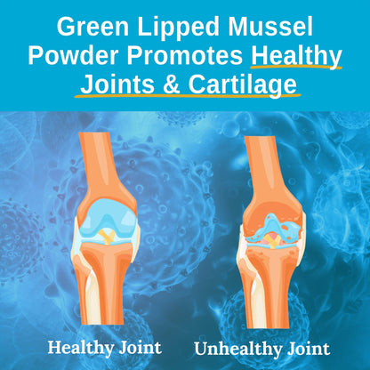 Xtend-Life | Green Lipped Mussel Powder | Extra Strength New Zealand Green Lipped Mussel 2400mg per Serving | for Joint Health & Inflammation Management | 120 Capsules (one Month Supply)