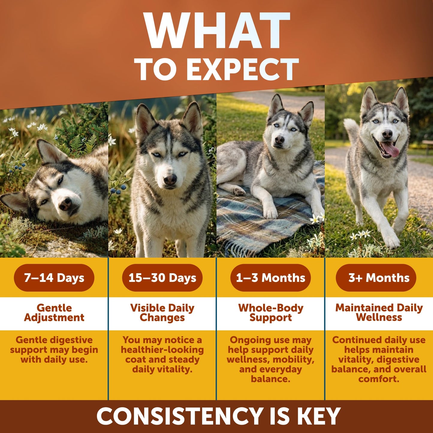 Dog Multivitamin Chewable with Glucosamine 26 in 1 - Dog Vitamins and Supplements - Senior & Puppy Multivitamin for Dogs - Pet Joint Support Health - Immunity, Mobility, Gut Skin - 120 Chews