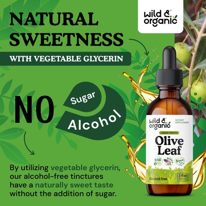 Wild & Organic Olive Leaf Extract Liquid Drops - Immune & Antioxidant Support - Oleuropein Supplement - Add to Tea Olive Leaf Tincture - Vegan, Sugar & Alcohol Free - 4 fl oz
