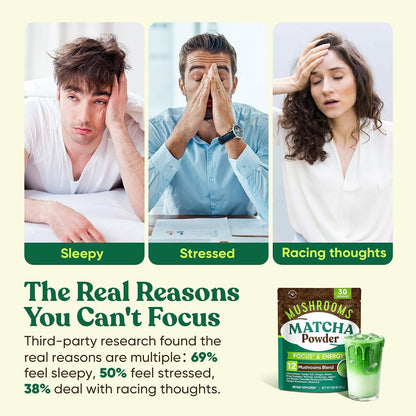 Venture Pal Mushroom Matcha Powder – 13 Superfood Mushroom Coffee Alternative with Ceremonial Grade Matcha Powder, 1.5B Probiotics for Focus, Energy & Digestion
