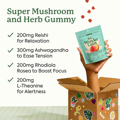 Plant People Wellness Bundle – Vegan-Friendly (60 Ct Each)