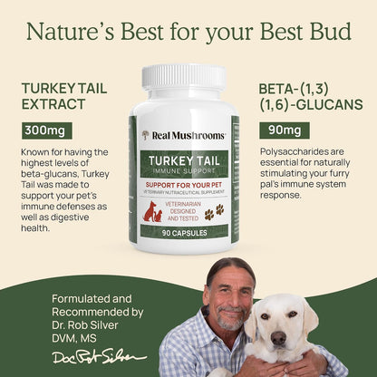 Real Mushrooms Turkey Tail for Humans & Pets - Bundle for Immune Support - Vegan, Non-GMO, Grain-Free, Gluten-Free Mushroom Extract Capsules - Verified Levels of Beta-Glucans
