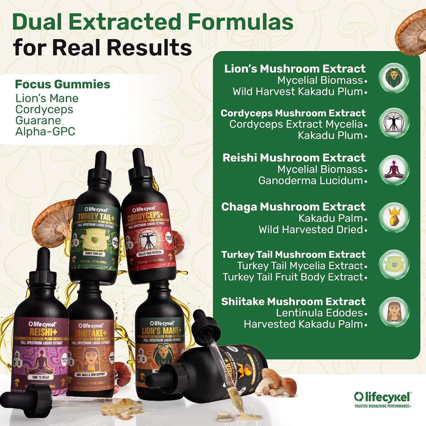 Life Cykel Premium Mushroom Extract Liquid Bundle – Lion’s Mane, Cordyceps, Reishi, Chaga, Turkey Tail & Shiitake (1oz Each) with Included Energy Gummies (10-Count), for Vitality & Mental Clarity