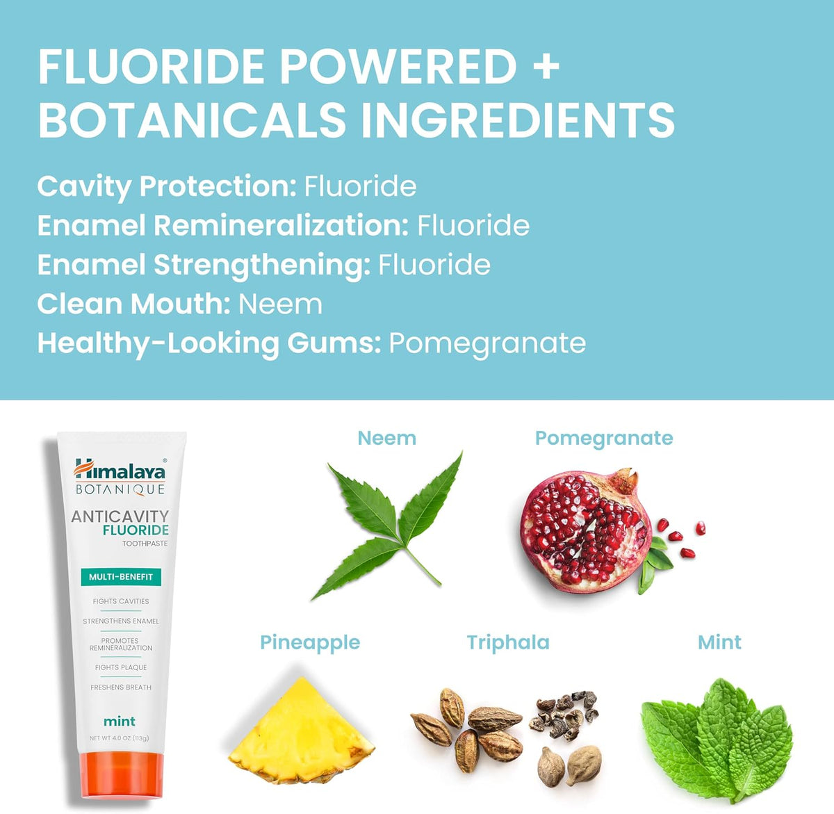 Himalaya Botanique Anticavity Fluoride Toothpaste, Fluoride with Multi-Benefit Support, Fights Cavities, Strengthens Enamel, Promotes Remineralization, Mint Flavor, 4 oz.