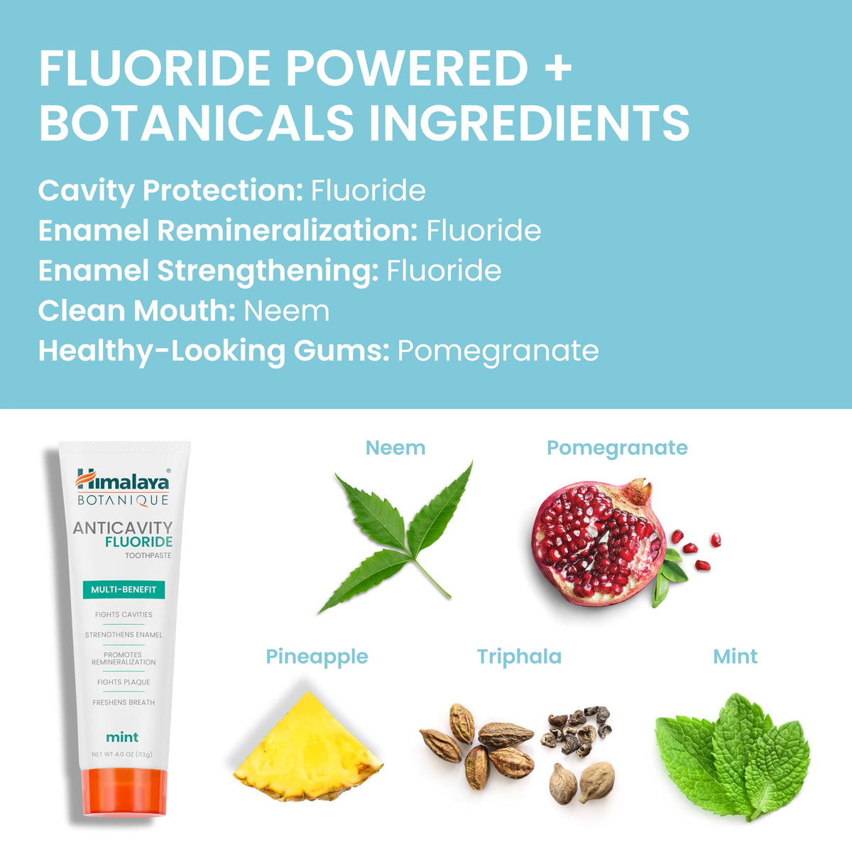 Himalaya Botanique Anticavity Fluoride Toothpaste, Fluoride with Multi-Benefit Support, Fights Cavities, Strengthens Enamel, Promotes Remineralization, Mint Flavor, 4 oz.
