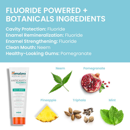 Himalaya Botanique Anticavity Fluoride Toothpaste, Fluoride with Multi-Benefit Support, Fights Cavities, Strengthens Enamel, Promotes Remineralization, Mint Flavor, 4 oz.