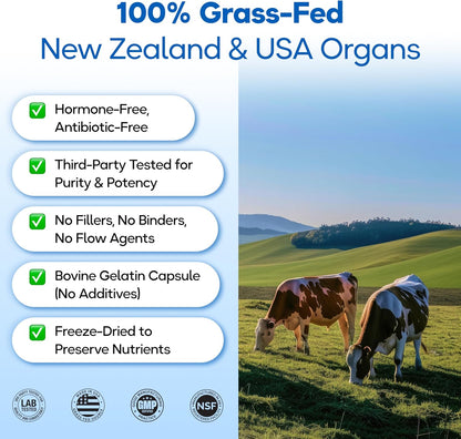 Grass Fed Beef Organ Supplement 3000mg (8 Organs) - Bone Marrow, Thymus, Liver, Heart, Kidney, Trachea, Spleen, Lung - Freeze-Dried - 120 Capsules (30 Servings)