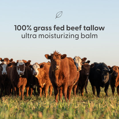M3 Naturals Grass Fed Beef Tallow and Honey Balm for Face (Unscented, 2oz)