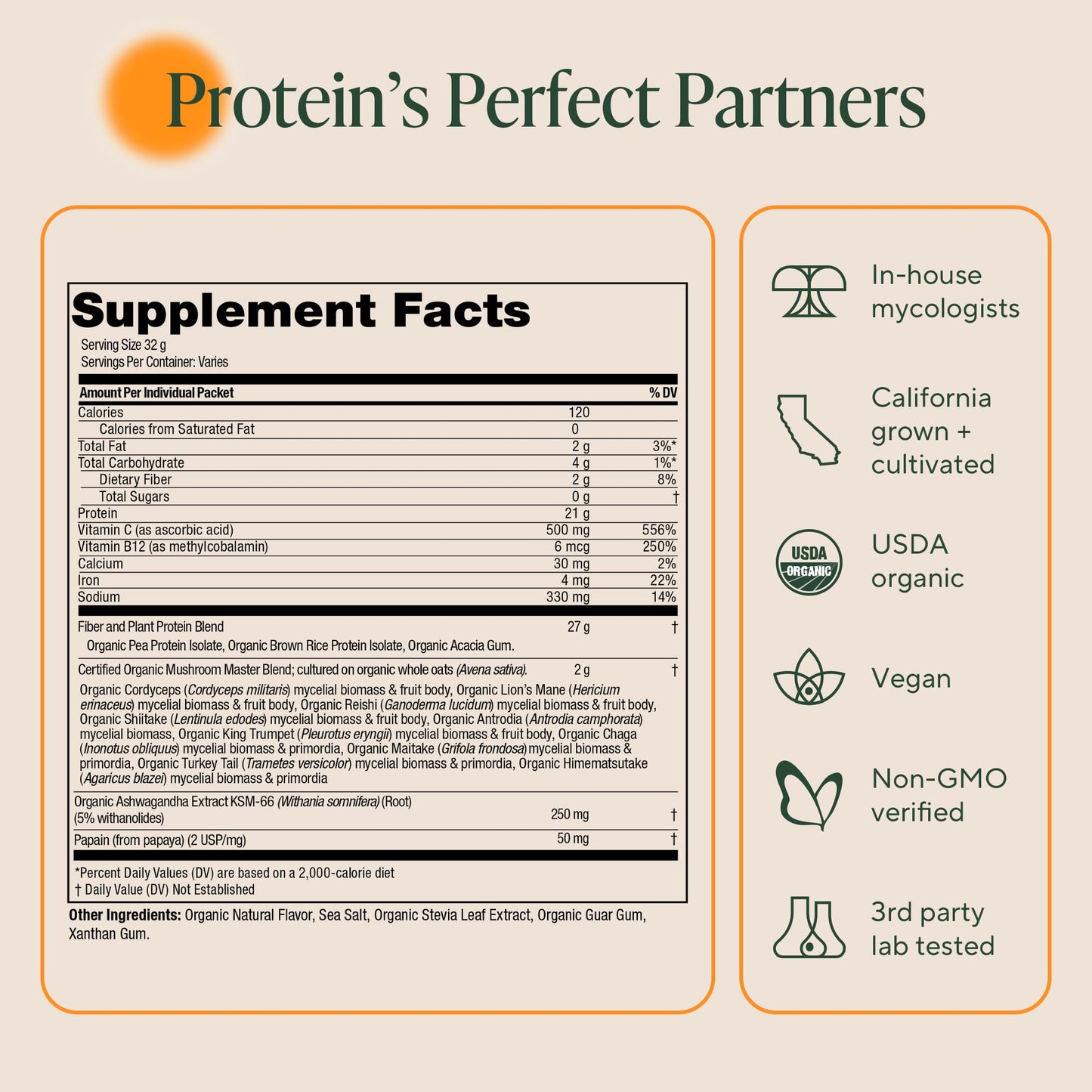OM MUSHROOM SUPERFOOD Master Blend Vegan Protein – Organic Vanilla Plant Protein Powder, GLP-1 Friendly, Excellent Source of Protein, Good Source of Fiber, 10 Functional Mushrooms – 16 Servings
