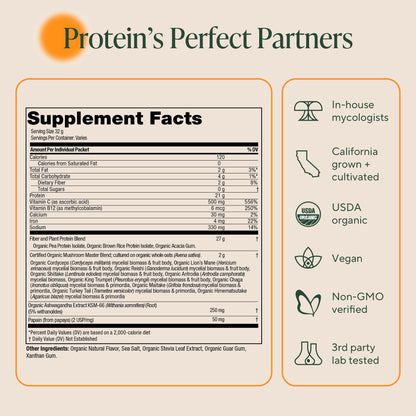 OM MUSHROOM SUPERFOOD Master Blend Vegan Protein – Organic Vanilla Plant Protein Powder, GLP-1 Friendly, Excellent Source of Protein, Good Source of Fiber, 10 Functional Mushrooms – 16 Servings