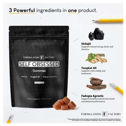 Formulation Factory Self Obsessed 10-in-1 Natural Testosterone Booster for Men, Testosterone Supplement for Men with Shilajit, Tongkat Ali, Fadogia Agrestis, 120 Capsules, 2 Month Supply