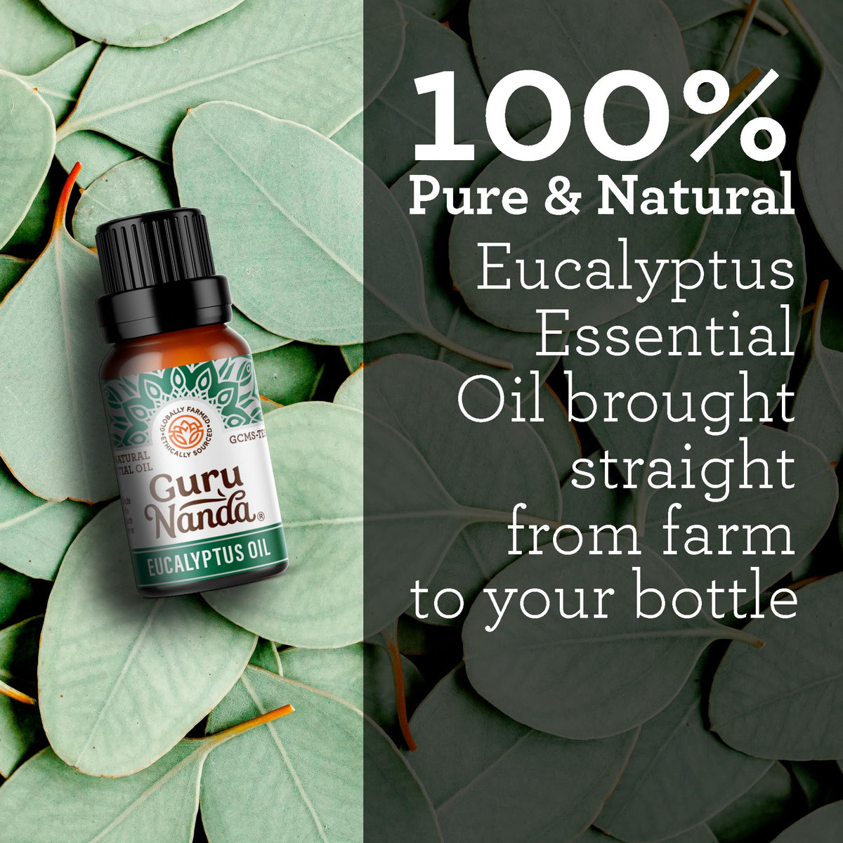GuruNanda Frankincense Essential Oil, Pure & Natural, 2x15 mL