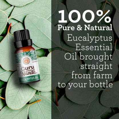 GuruNanda Eucalyptus Essential Oil (3x1 Fl Oz) - 100% Pure & Undiluted Aromatherapy Oil