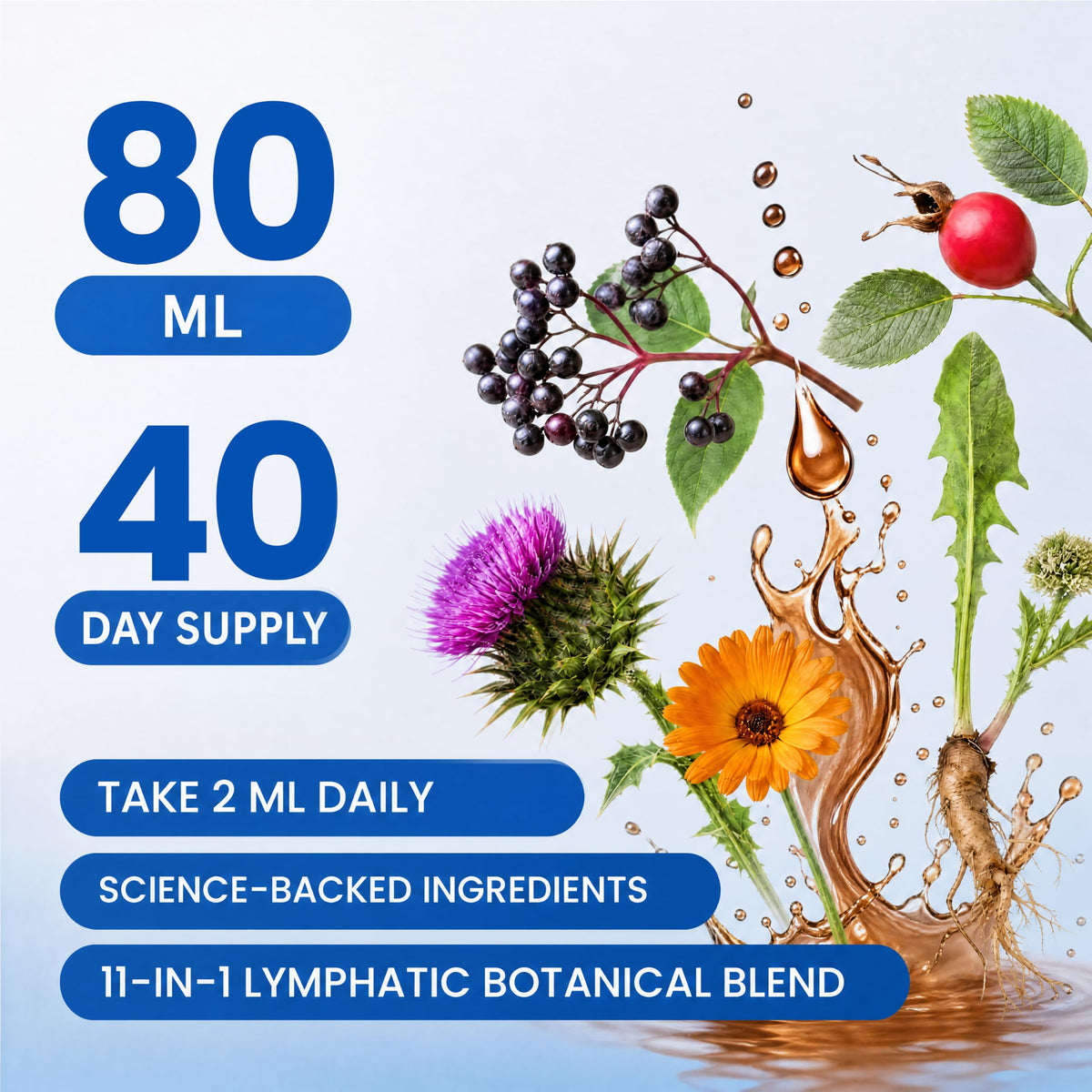 Lymphatic Drainage Drops - Organic Lymphatic Drops, Herbal Liquid Support for Natural Fluid Balance & Immunity - Burdock Root, Elderberry & Calendula -Lemon Flavor, 2.7 Fl Oz