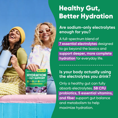 Venture Pal Sugar Free Hydration Packets + Gut Health Electrolytes Powder | Liquid Daily IV with 7 Electrolytes, 5 Vitamins, Probiotics & Fiber for Dehydration Relief and Gut Health Support