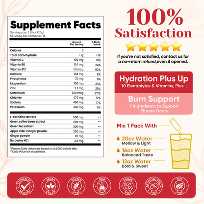 Venture Pal Electrolyte Packets + Burn Support, Sugar Free, 16 Sticks | 7 Electrolytes + L-Carnitine, Berberine, ACV, Chromium, Green Tea, Metabolic Support, Keto Friendly, Vegan, Liquid Daily IV