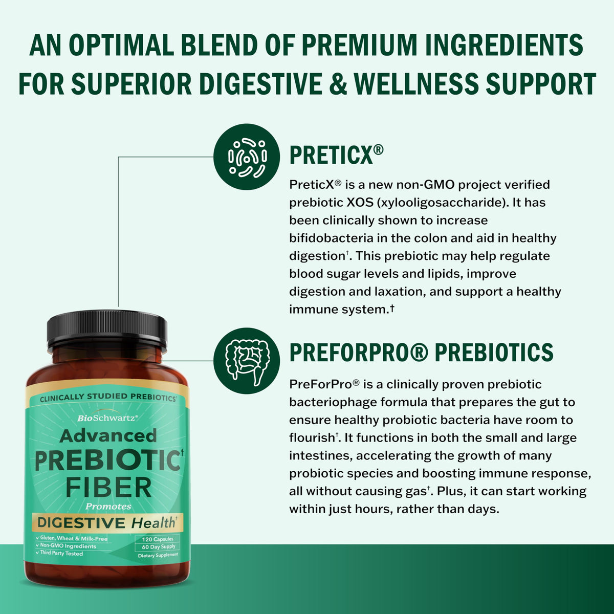 Advanced Prebiotic Fiber | Fast Acting Gut Health Supplement | 60 Capsules