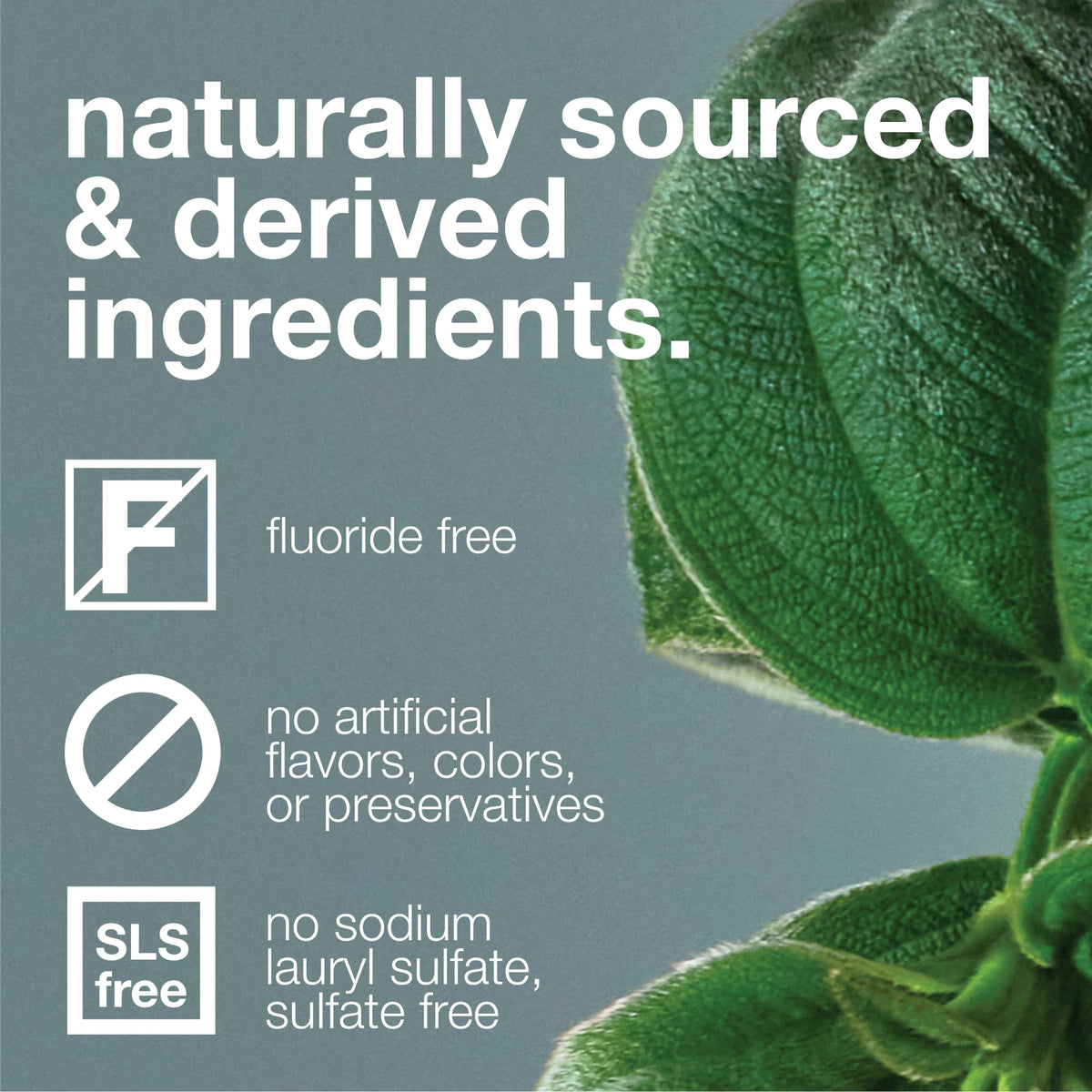 Davids Fluoride Free Toothpaste Teeth Whitening SLS Free Peppermint 5.25oz