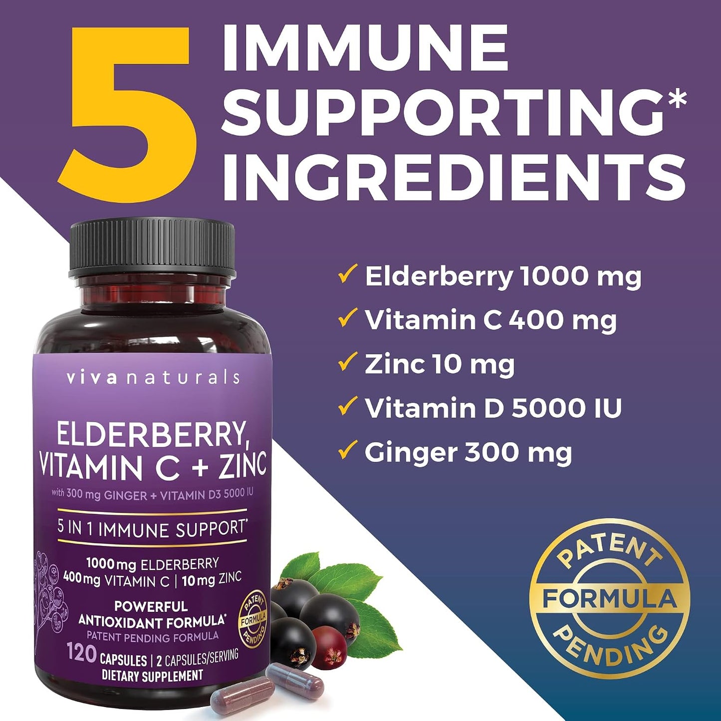 Viva Naturals Antarctic Krill Oil and Elderberry, Vitamin C, Zinc and Vitamin D3 5000 IU Bundle, 1250 mg of Krill Oil Providing Omega 3 EPA and DHA for Joint Health, Elderberry for Immune Support
