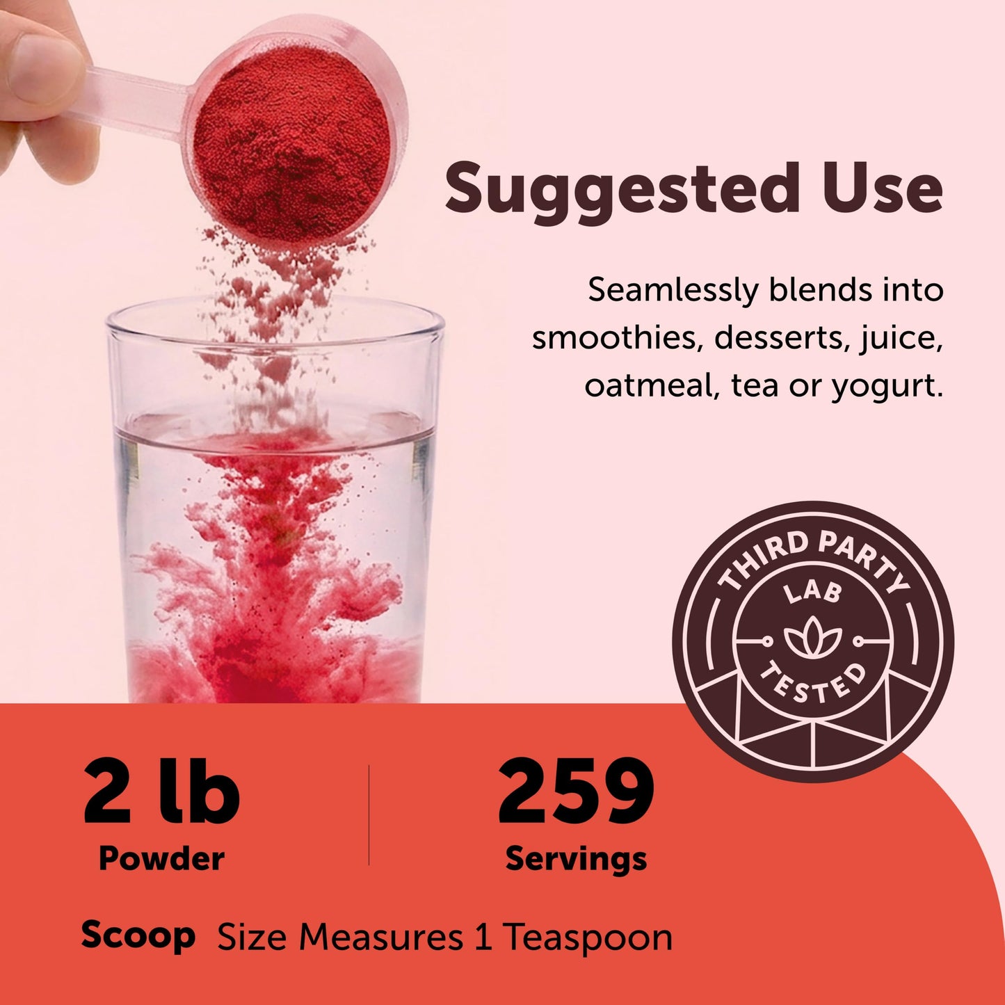 Micro Ingredients Organic Beet Root Powder, 2lb | Water Soluble, Highly Concentrated Raw Beet Supplement | Superfood Drink Mix | Non-GMO, Vegan Friendly, Plant Based