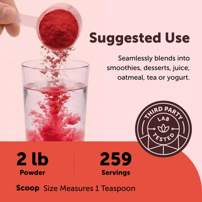 Micro Ingredients Organic Beet Root Powder, 2lb | Water Soluble, Highly Concentrated Raw Beet Supplement | Superfood Drink Mix | Non-GMO, Vegan Friendly, Plant Based