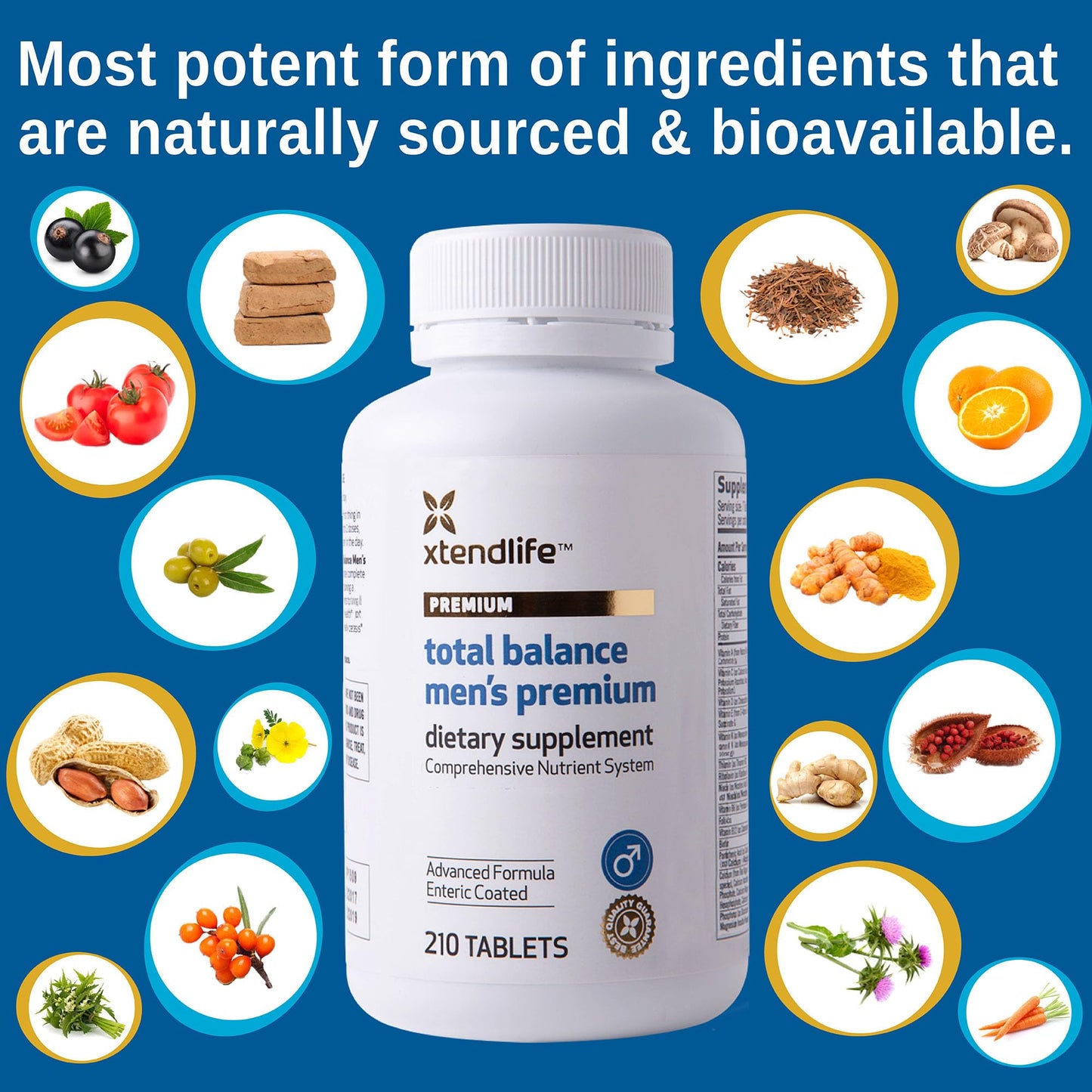 Xtendlife Total Balance Men’s Premium Multivitamin for Immune, Heart, Digestive & Cellular Health - Extra Strength Daily Support - 90+ Nutrients & Minerals - 30 Day Supply