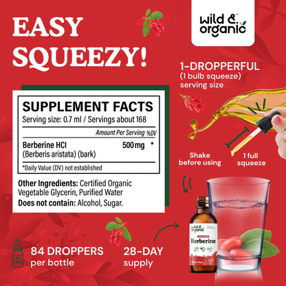 Wild & Organic Berberine Drops - Antioxidant Support - Liquid Berberine HCL 500mg - Add to Tea Supplement - Berberis Aristata Bark Extract - Pure, Vegan, Alcohol & Sugar-Free Tincture - 4 fl oz