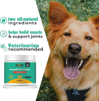 MYOS Muscle & Joint Dog Supplement with Fortetropin and Green Lipped Mussel - Dog Hip and Joint Supplement for Strength and Mobility - Glucosamine and Omega 3 for Dogs - 198g