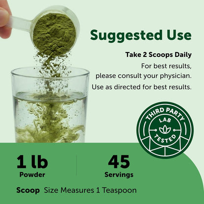Micro Ingredients Super Greens Powder, 100 Superfoods, Green Drink Mix, 1lb | Superfood Blend with Daily Greens, Probiotics, Fruits, Vegetables & Mushrooms | 45 Servings | Non-GMO, Gluten-Free