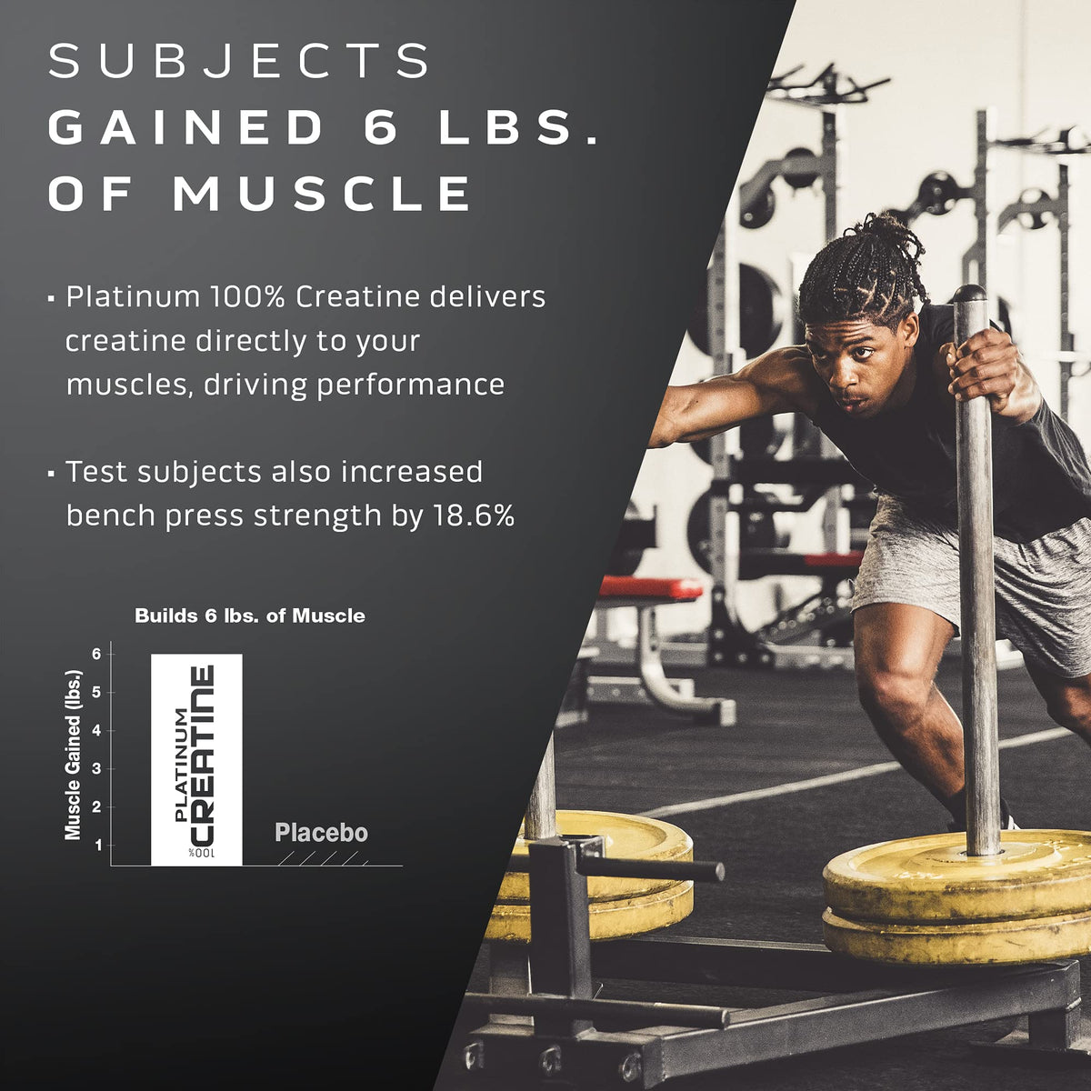 Muscletech Whey Protein Powder Phase8 Protein Powder & nohydrate Powder Platinum