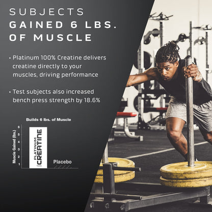 Muscletech Whey Protein Powder Phase8 Protein Powder & nohydrate Powder Platinum