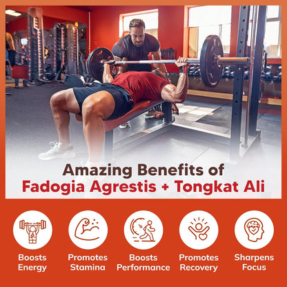 Fadogia Agrestis with Tongkat Ali - 1000mg Per Serving - 120 Capsules | Fadogia Agrestis & Tongkat Ali Extract Supplement - Powder Complex Pills for Men and Women