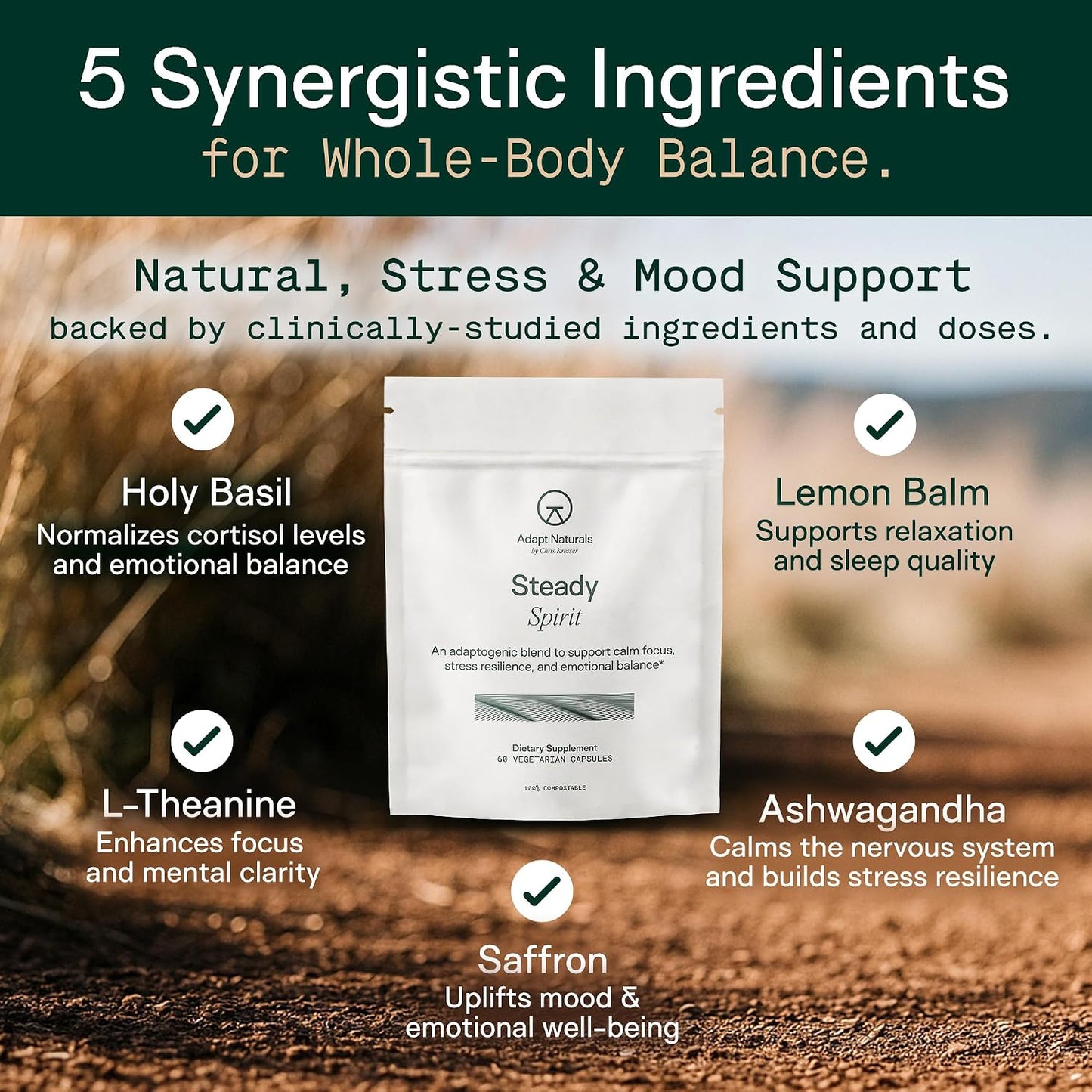 Adapt Naturals Steady Spirit Stress, Moddy & Resilience Support Supplement | Clinically Studied Saffron, Ashwagandha, L-Theanine, Lemon Balm & Holy Basil - Adaptogen Blend for Calm Focus - 30 Day Supply